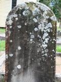 image of grave number 783990